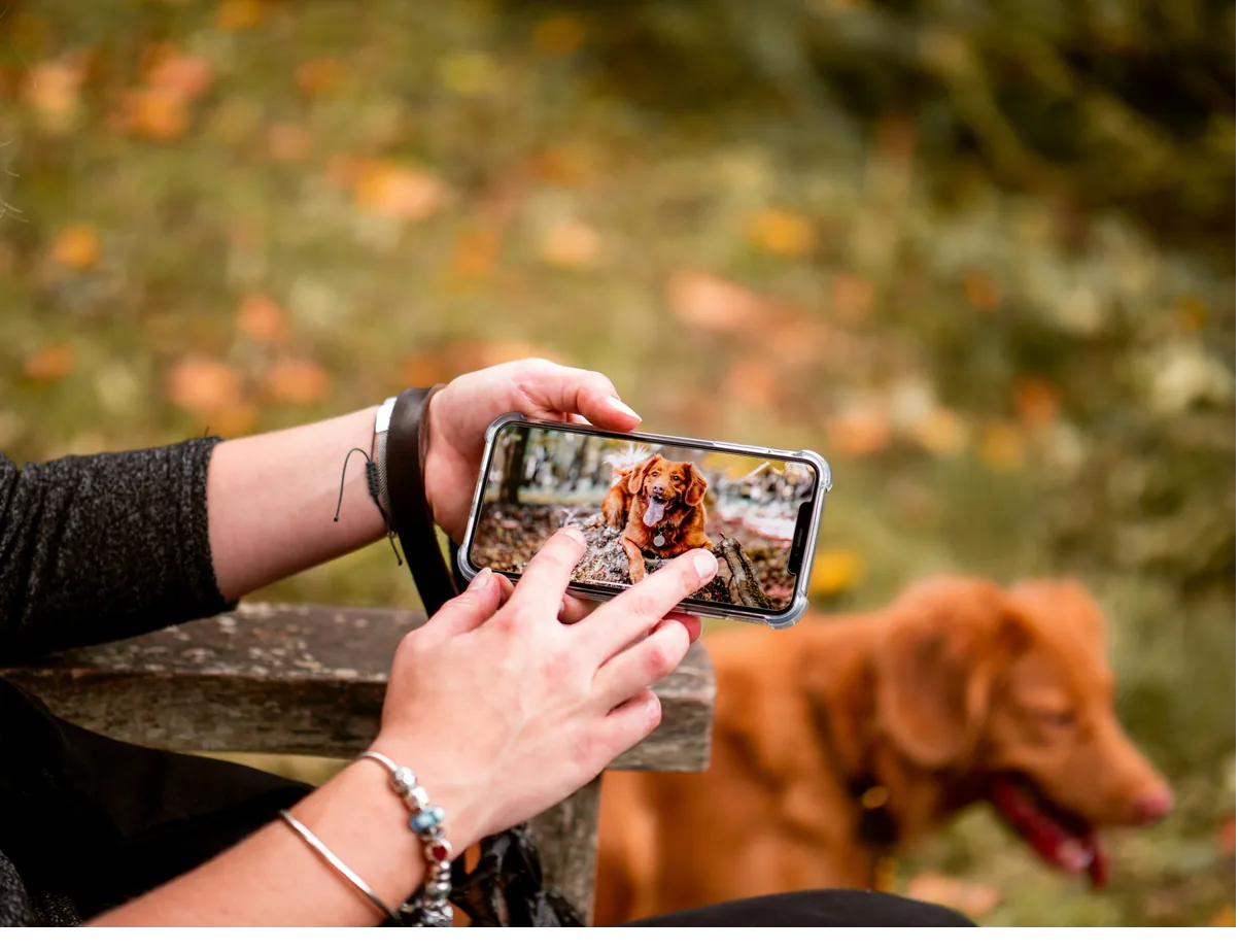 Personne qui photographie son chien avec son téléphone